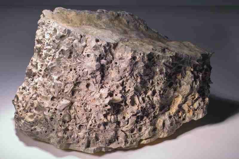 Schill-Lage aus Steinkernen
