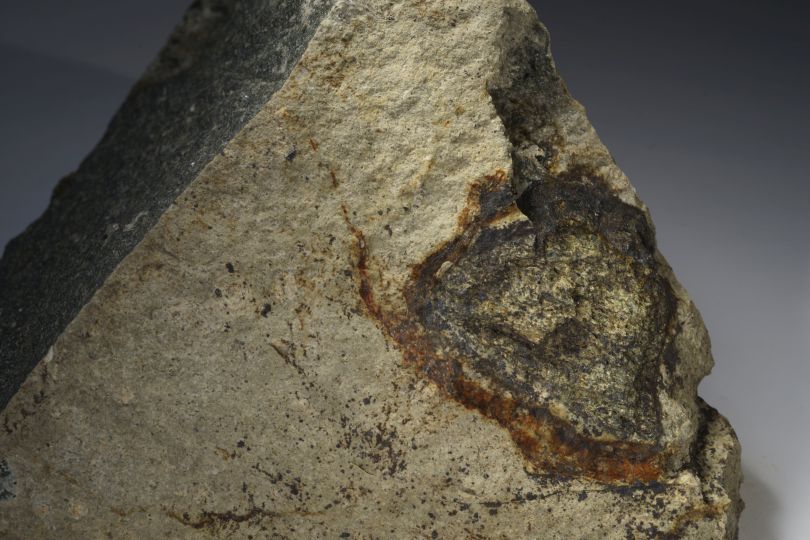 Xenolith im
        Phonolith