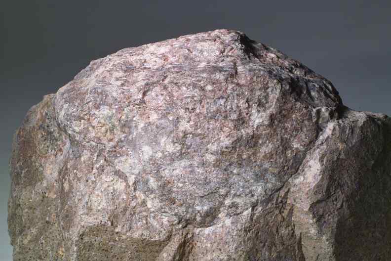 Gneisxenolith im Rhyolith