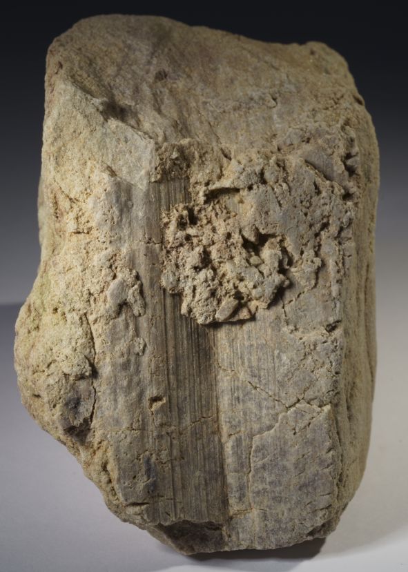 Harnisch im
              Sandstein