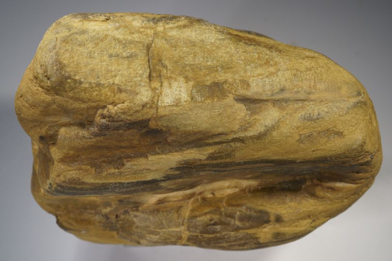 Braunes
              Kieselholz