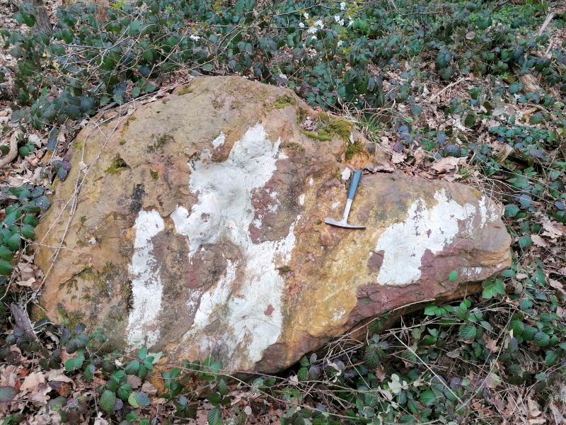 verkieselter Zechstein-Dolomit