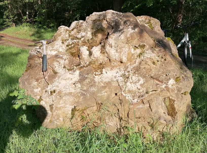 Verkieselter Zechstein-Dolomit