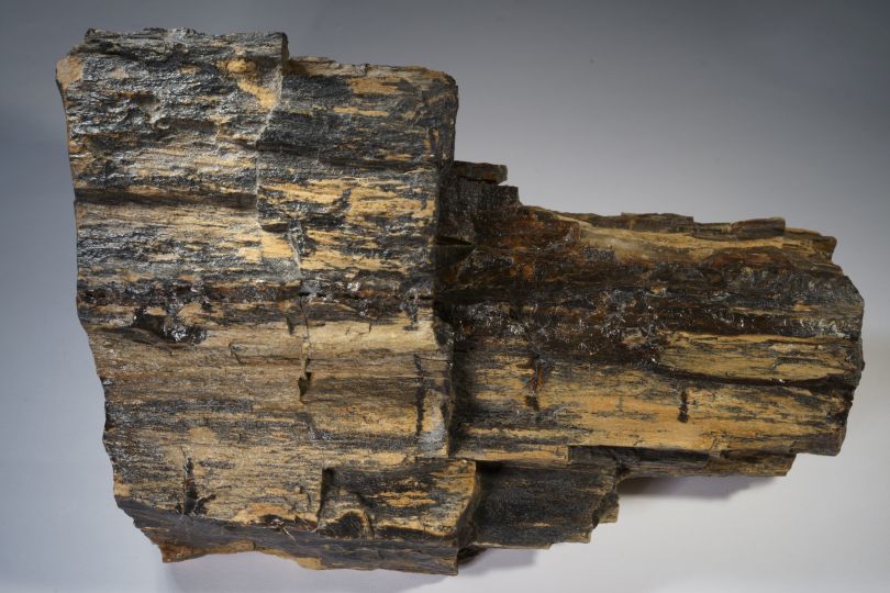 Holz aus der W�ste