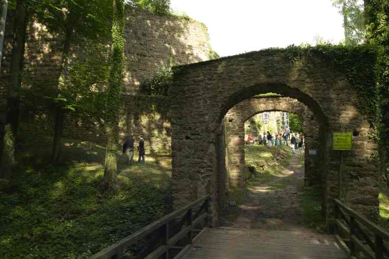 Burg
      Wildenstein